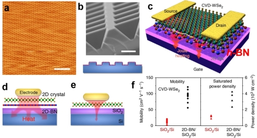 J:/[01] 工作资料/5 my article/the published article/2019/NC-HBN/FIG.jpg
